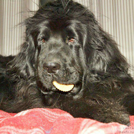 Фотография № 225196