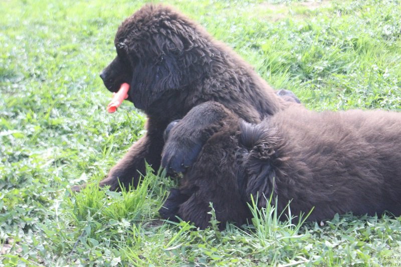 Фотография № 225213