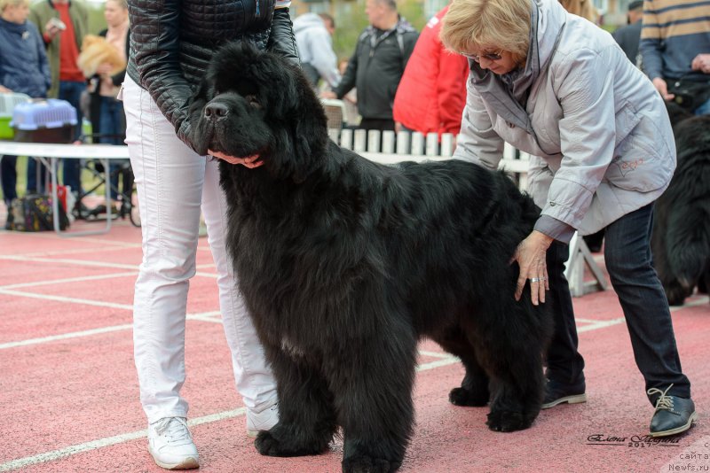 Фотография № 225220