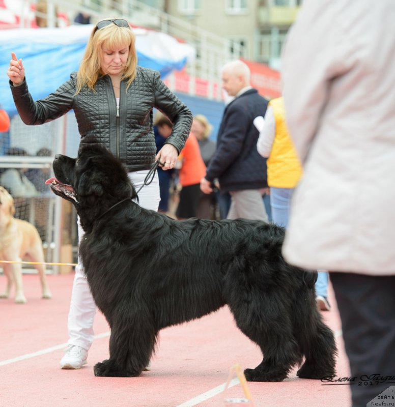 Фотография № 225221