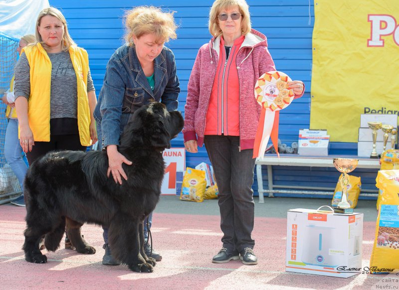 Фотография № 225224