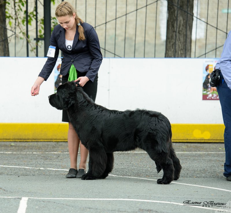 Фотография № 225225