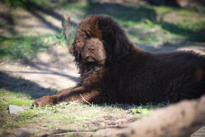 Фотография № 225237