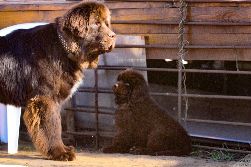 Фотография № 225239