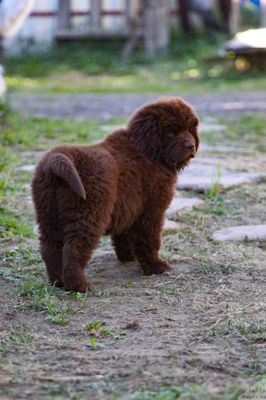 Фотография № 225240