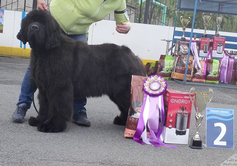 Фотография № 225242