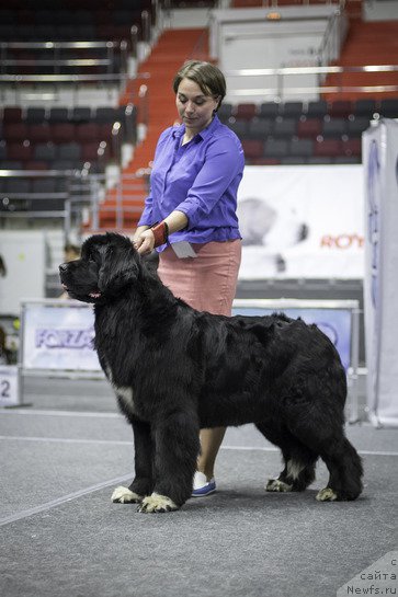 Фотография № 225254