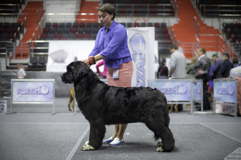 Фотография № 225257