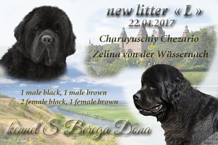 Фотография № 225262