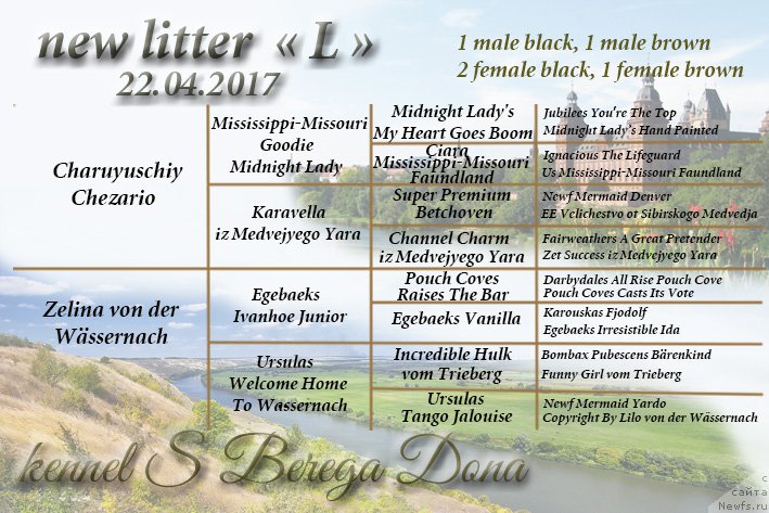 Фотография № 225263