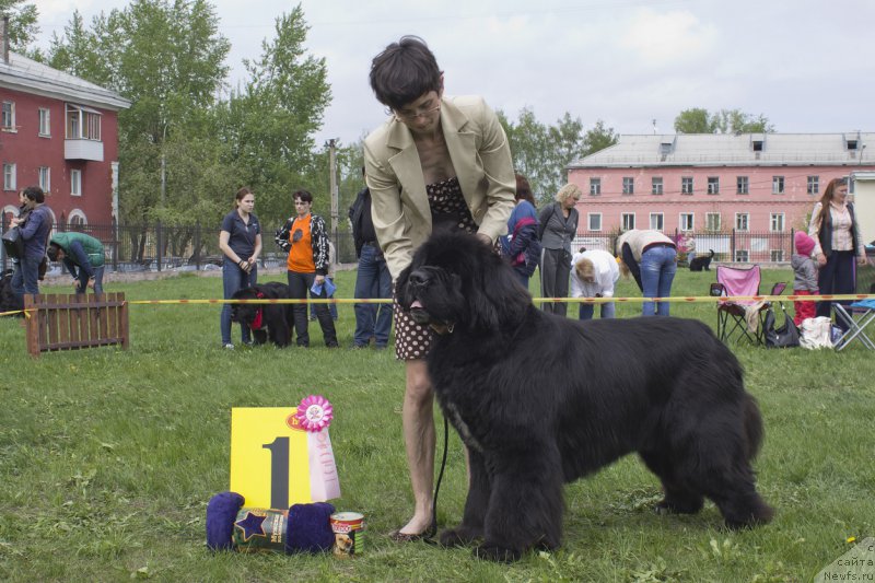 Фотография № 225279