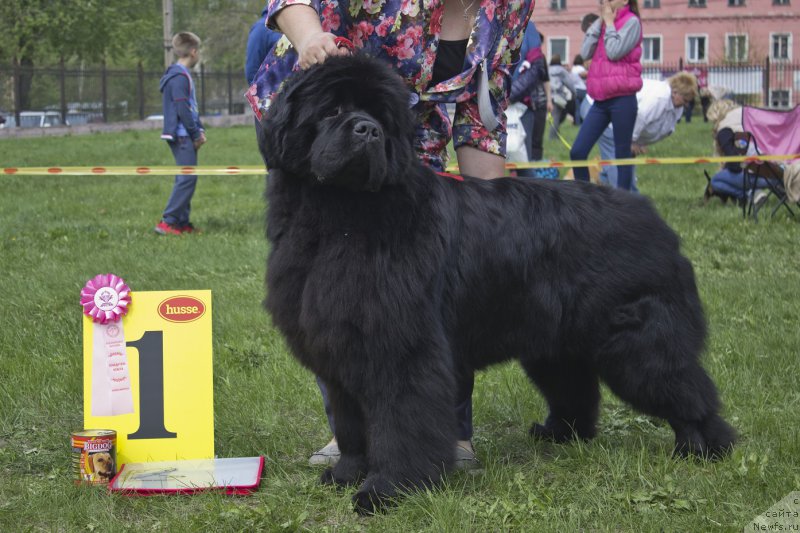 Фотография № 225282