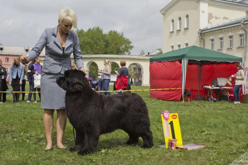 Фотография № 225284