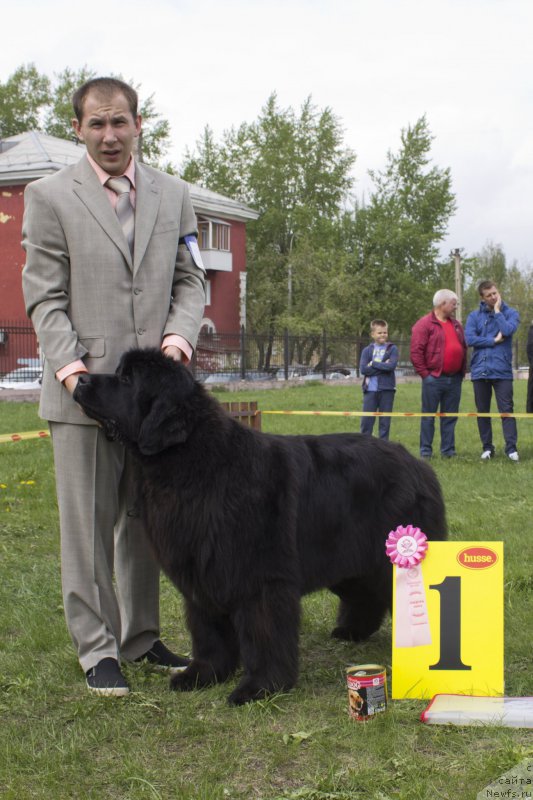 Фотография № 225297