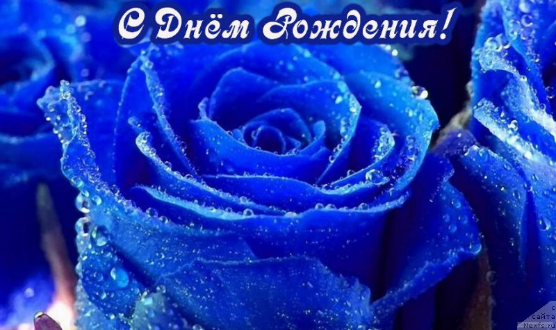 Фотография № 225304