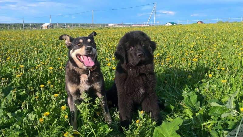 Фотография № 225360