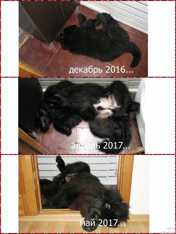 Фотография № 225361