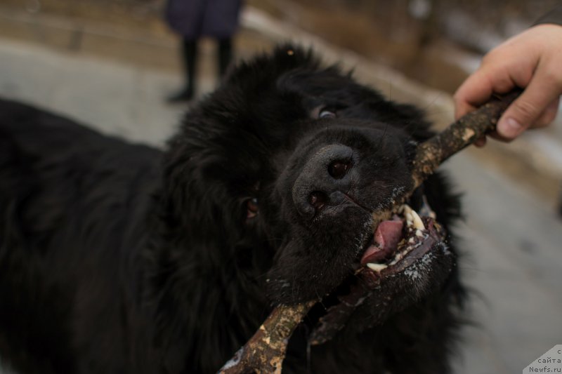 Фотография № 225392