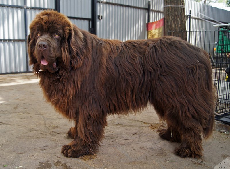 Фотография № 225403