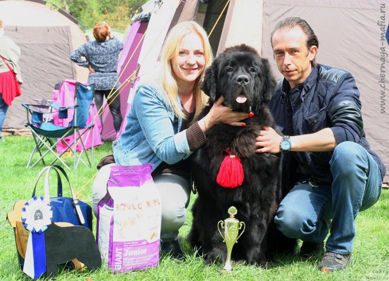 Фотография № 225407