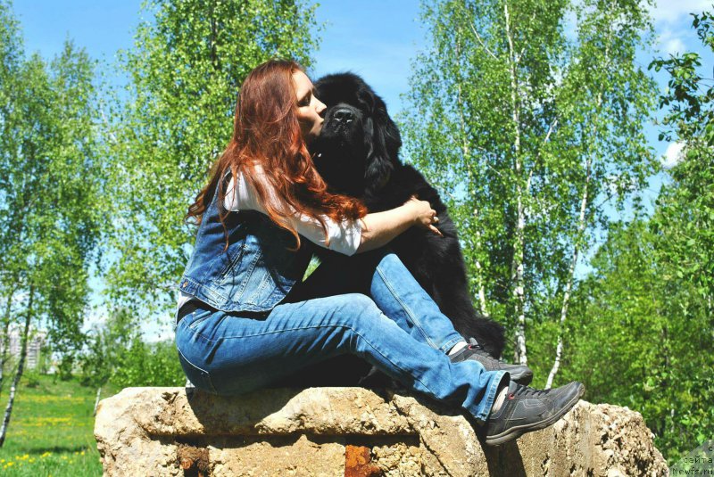 Фотография № 225411