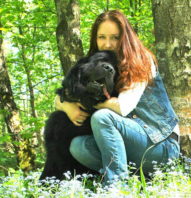 Фотография № 225413