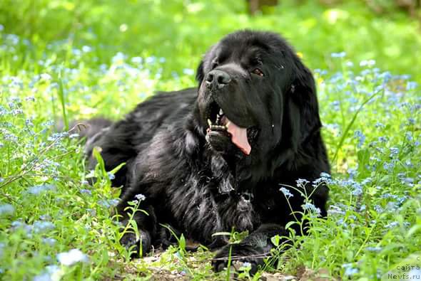 Фотография № 225416