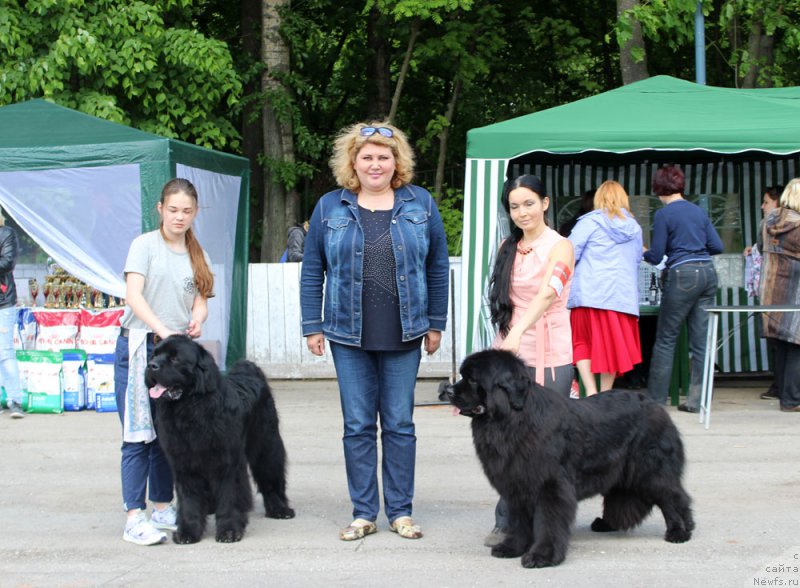 Фото: Mariya SHmeleva (Мария Шмелева), ньюфаундленд CHarl'z Balu Blek Biar (Чарльз Балу Блек Биар), Tat'yana Il'ina (Татьяна Ильина), ANGELO ORSO BENEDETTA MILLISENTA
