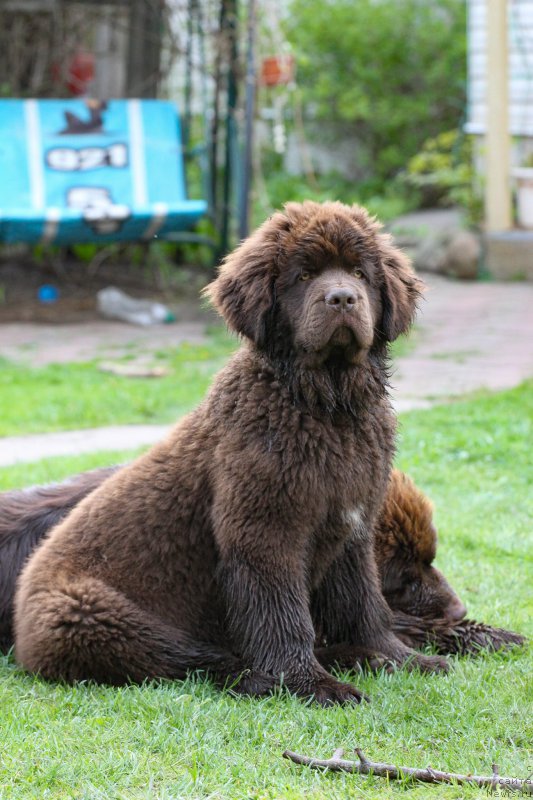 Фотография № 225440