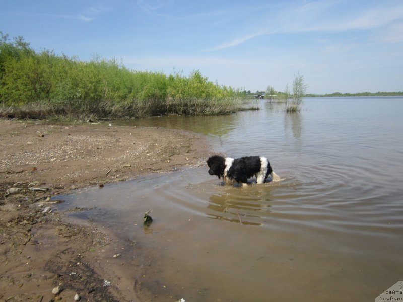 Фотография № 225443