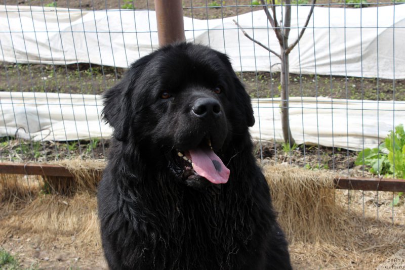 Фотография № 225460