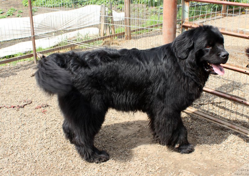 Фотография № 225461