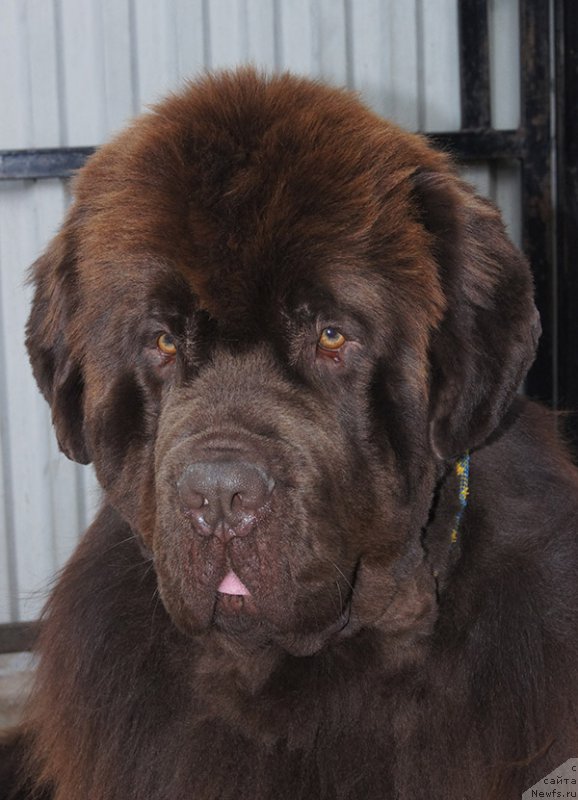 Фотография № 225469