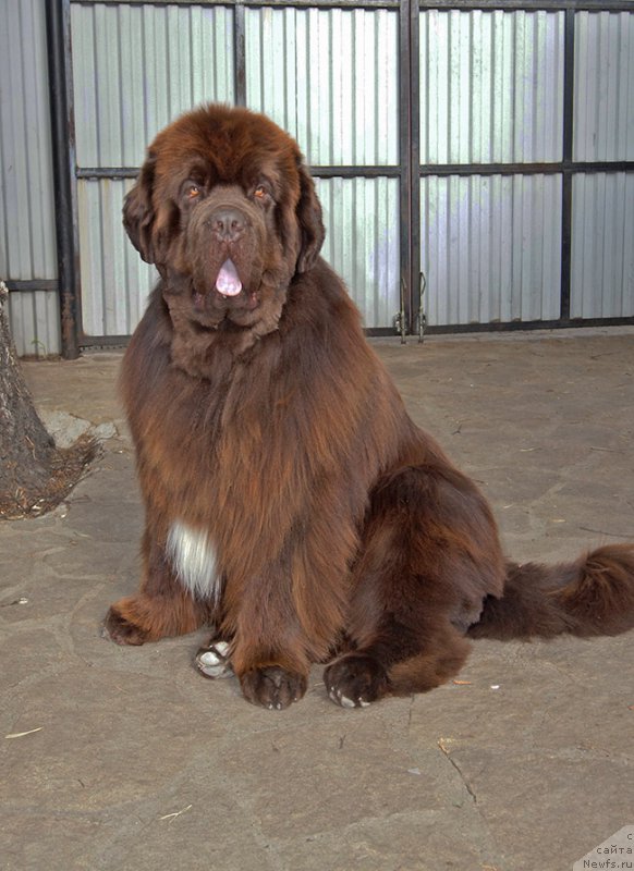 Фотография № 225470