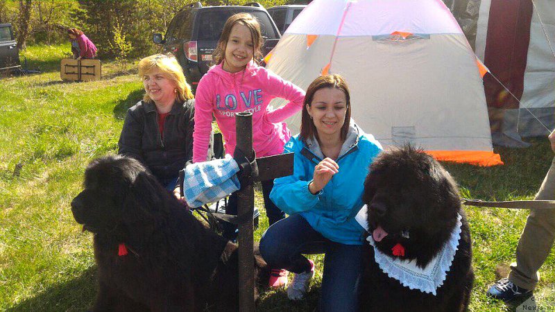 Фотография № 225486