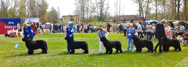 Фотография № 225487