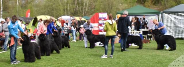 Фотография № 225493