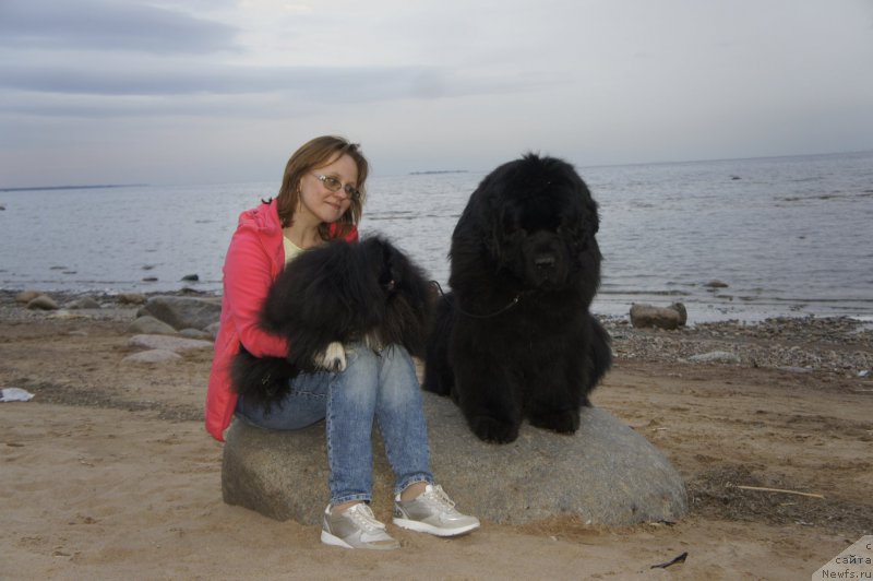 Фотография № 225505