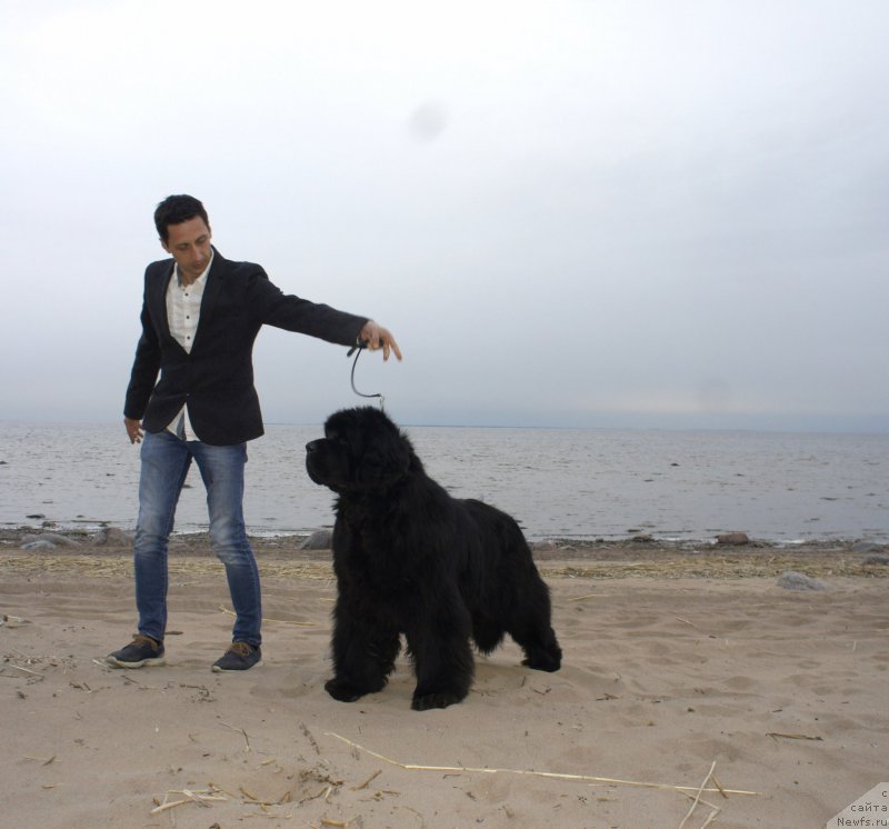 Фотография № 225506