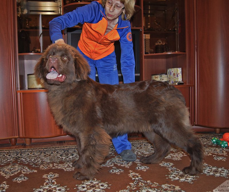 Фотография № 225518