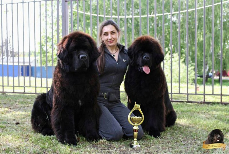 Фотография № 225531