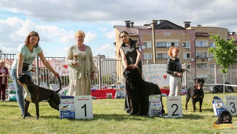 Фотография № 225533