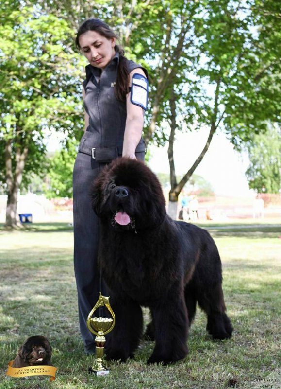 Фотография № 225534