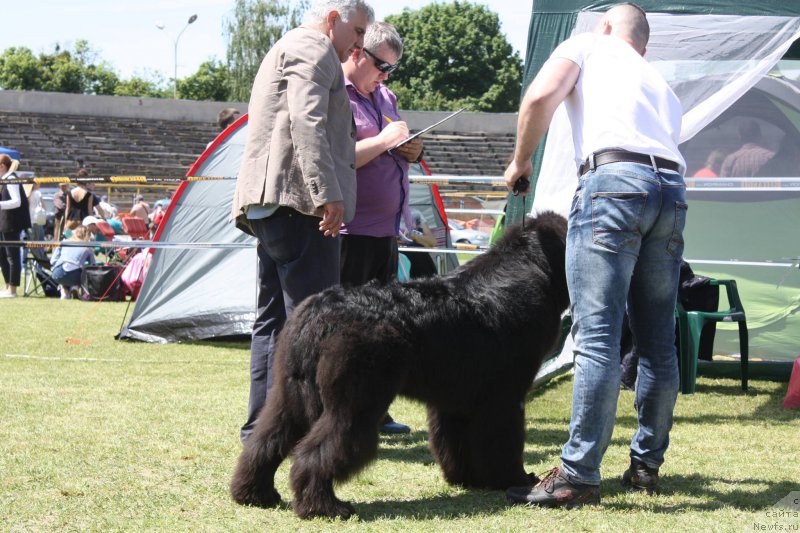 Фотография № 225536