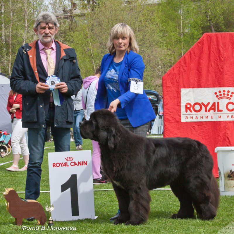 Фотография № 225548