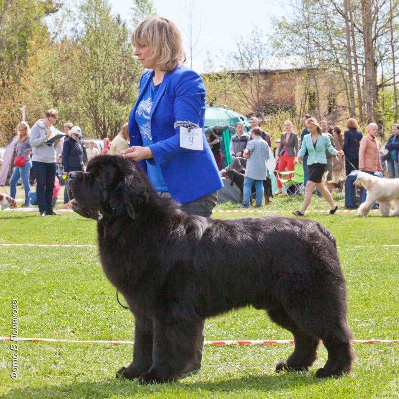 Фотография № 225552