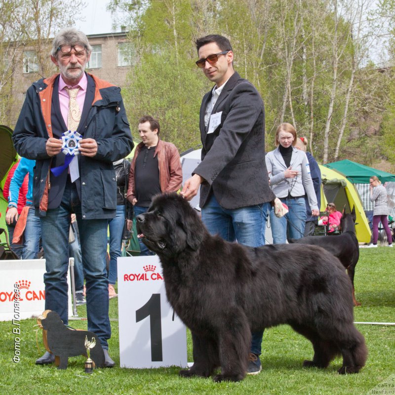 Фотография № 225553