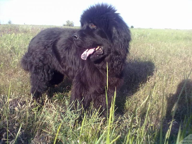 Фотография № 225591