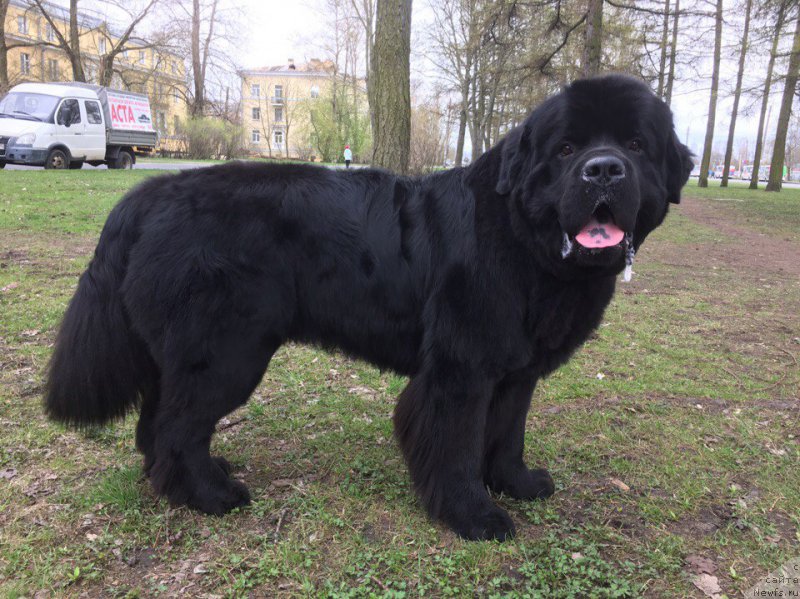 Фотография № 225626