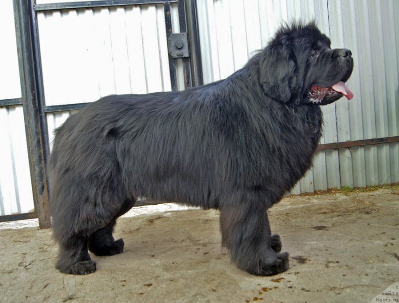 Фотография № 225650